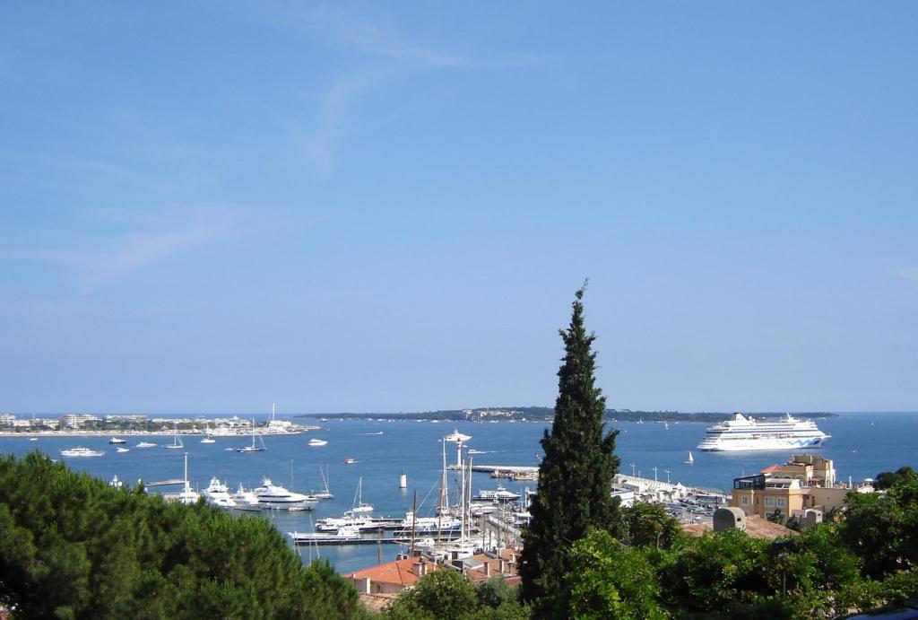 Avaton Hotel Cannes Bagian luar foto